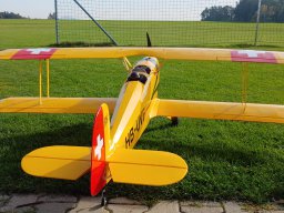 Modelle unserer Mitglieder